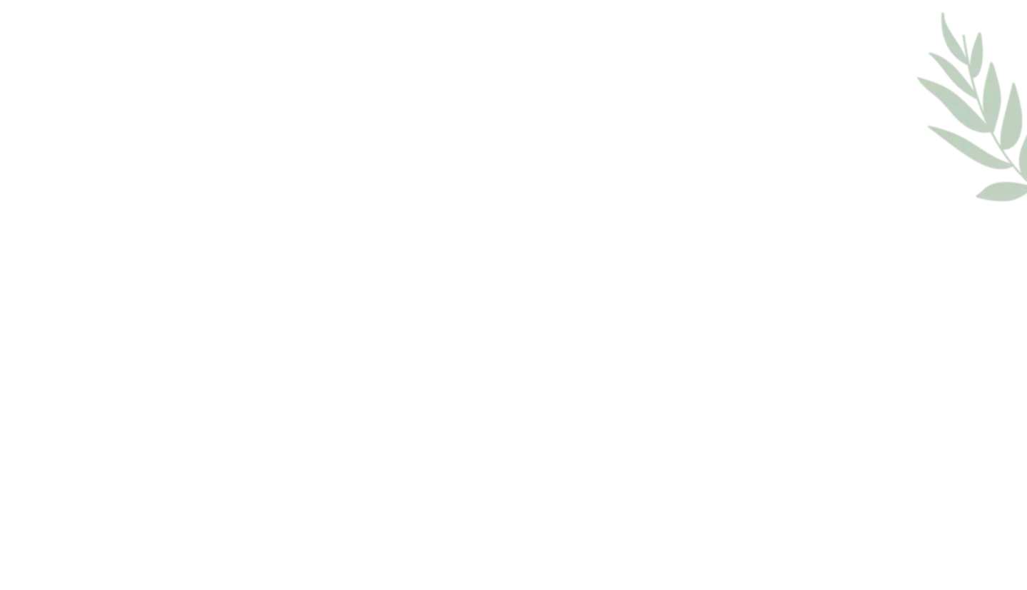 zweig1
